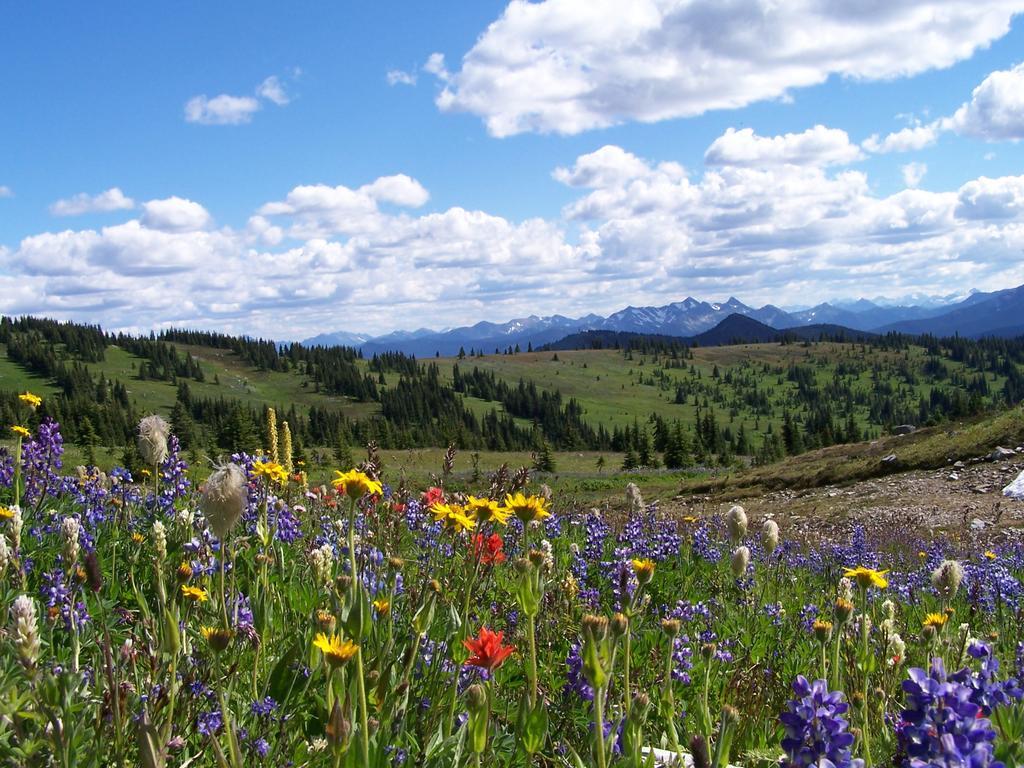 Manning Park Resort Eksteriør billede